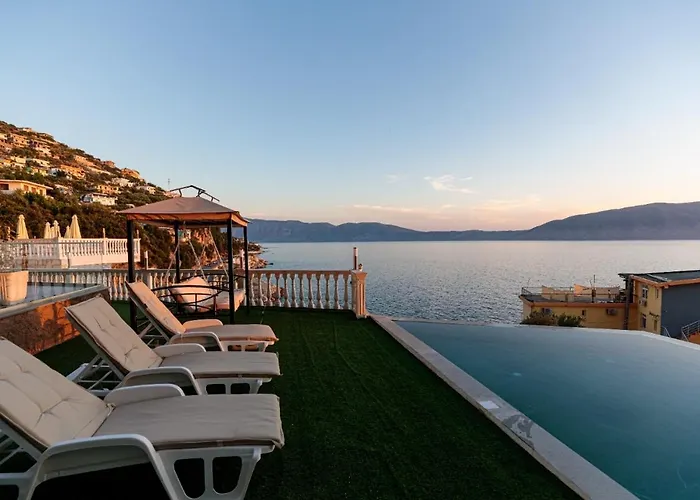 Hakuna Matata & Willa